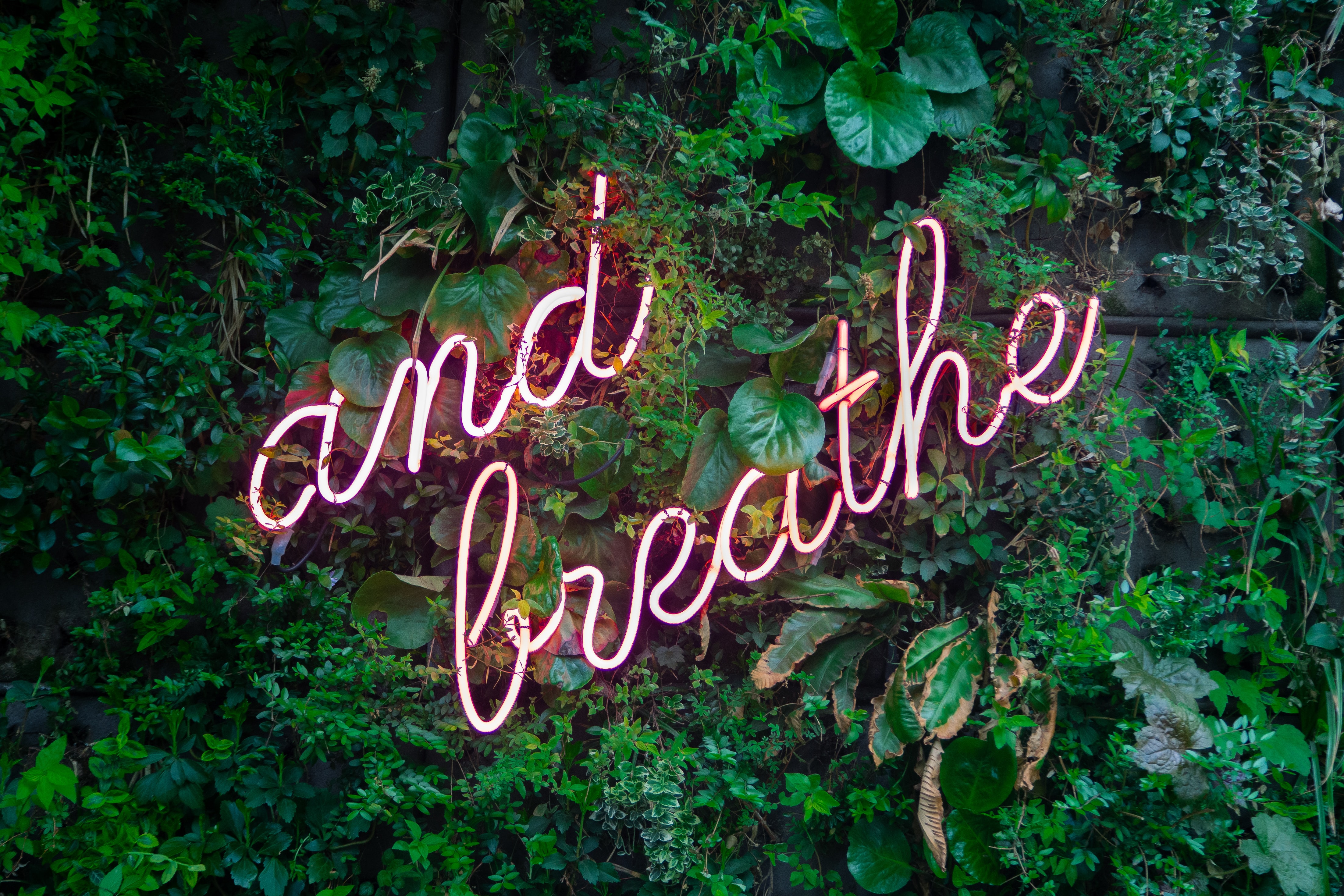 (Unsplash/Max-Van den Oetelaar)
