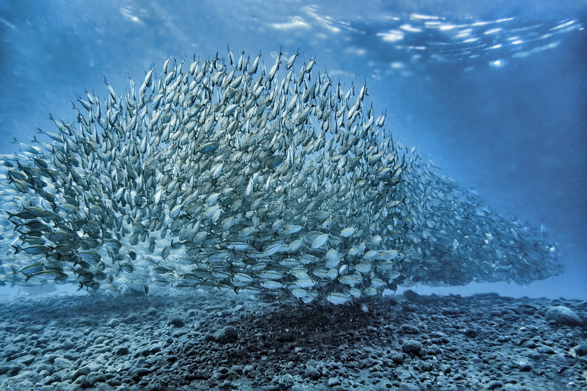 Likupang (Foto oleh Dorothea OLDANI di Unsplash)