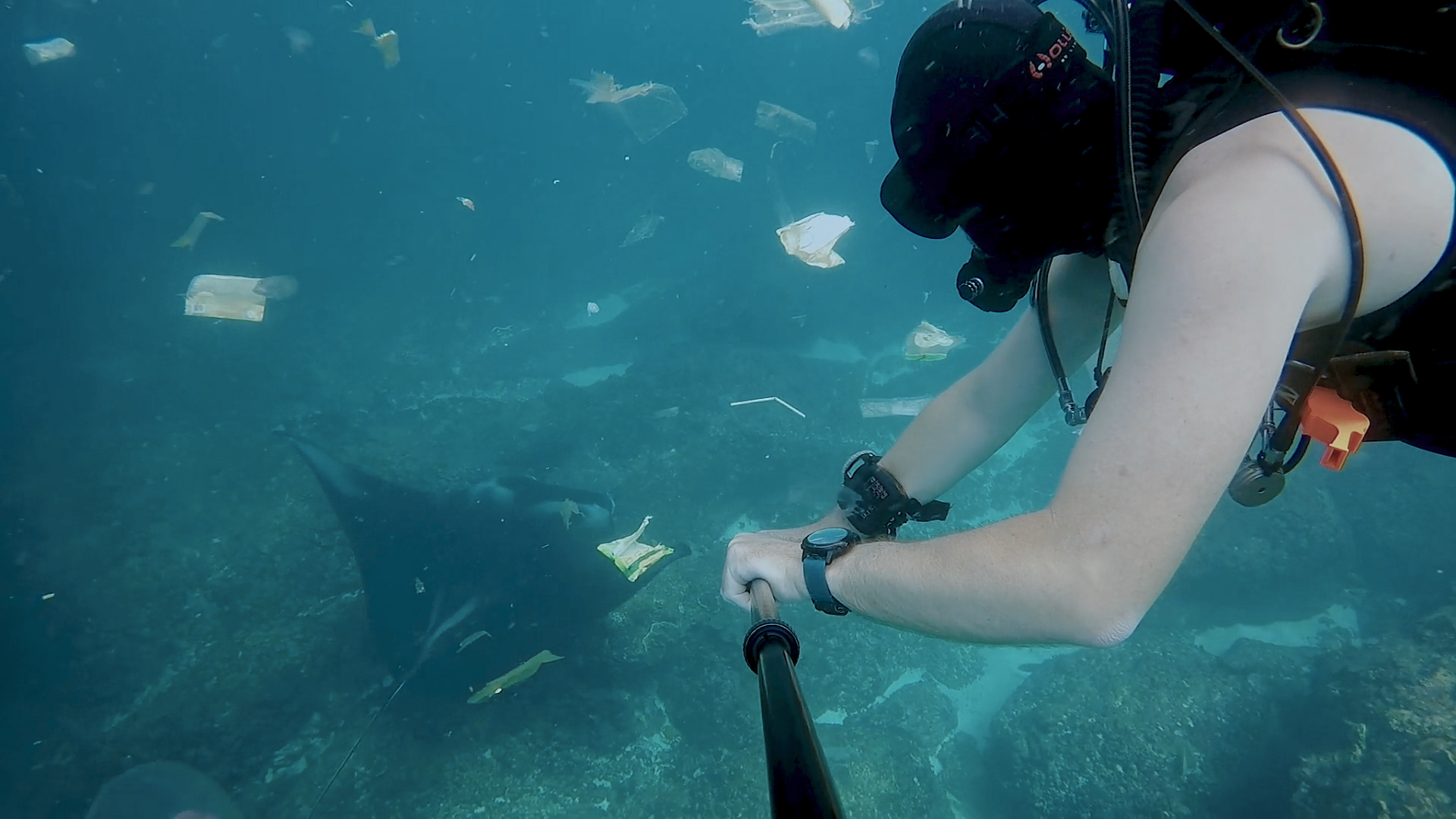 sumber gambar: still foto Pulau Plastik/Bioskop Online