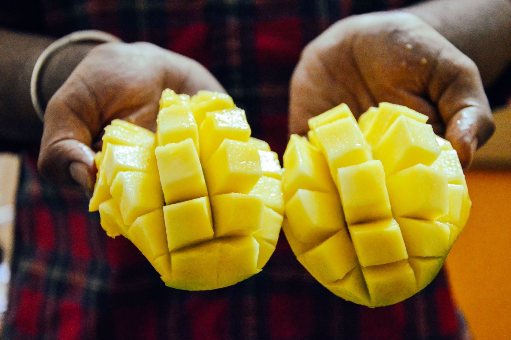 Ilustrasi. (Dok. Photo by Ravi Kant from Pexels)