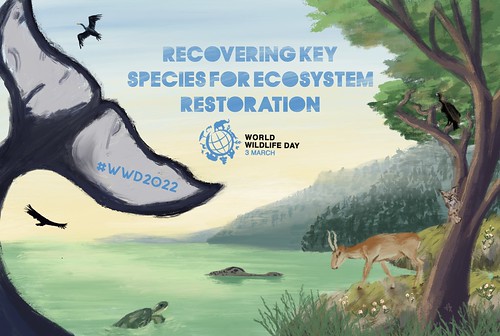 World Wildlife Day 2022/wildlifeday.org