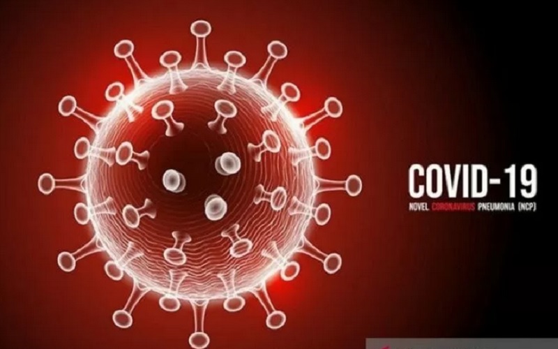 Ilustrasi virus corona/freepik