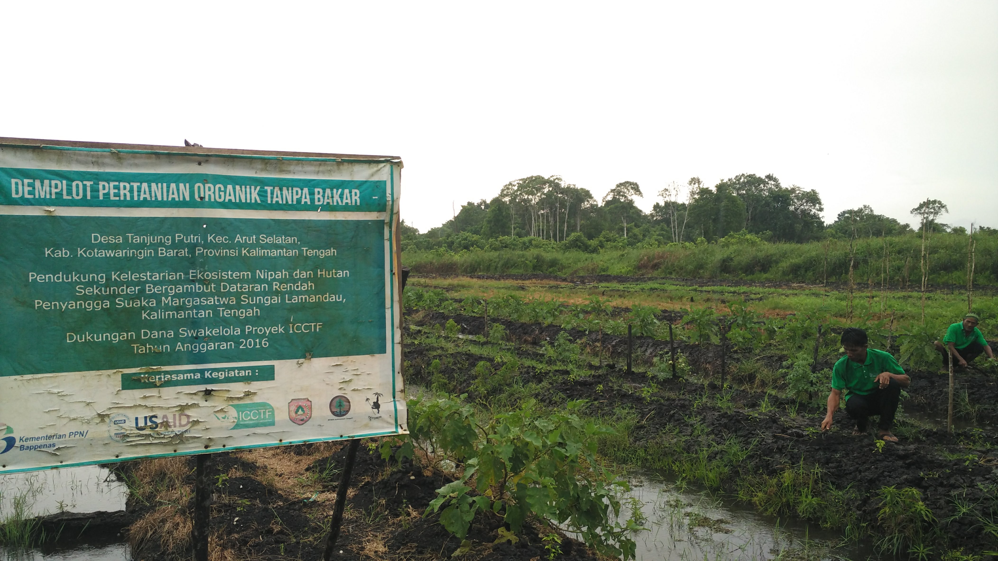 (Sumber gambar: Hypeabis/Dika Irawan