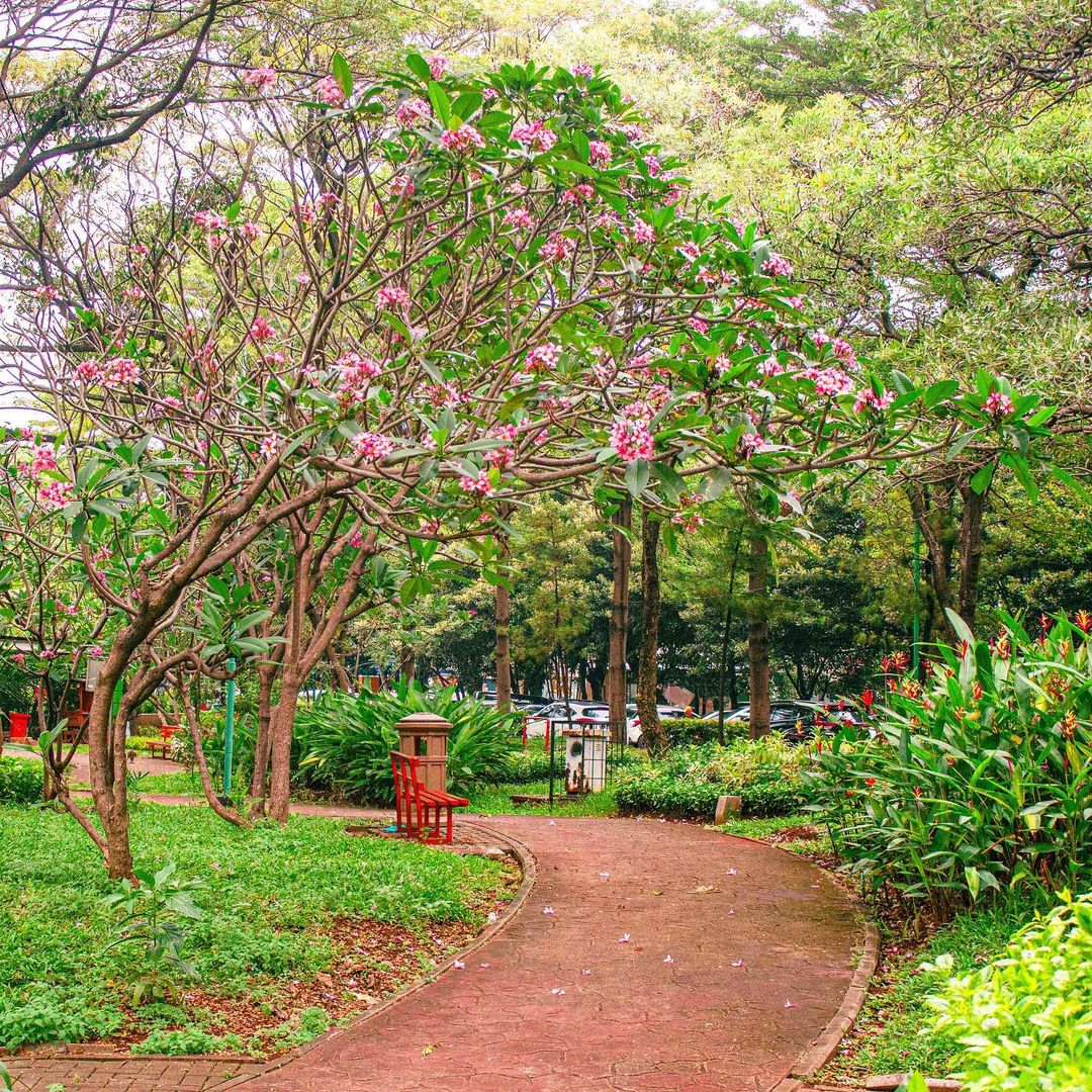 Trek joging (Sumber gambar: IG/jakarta_tourism)