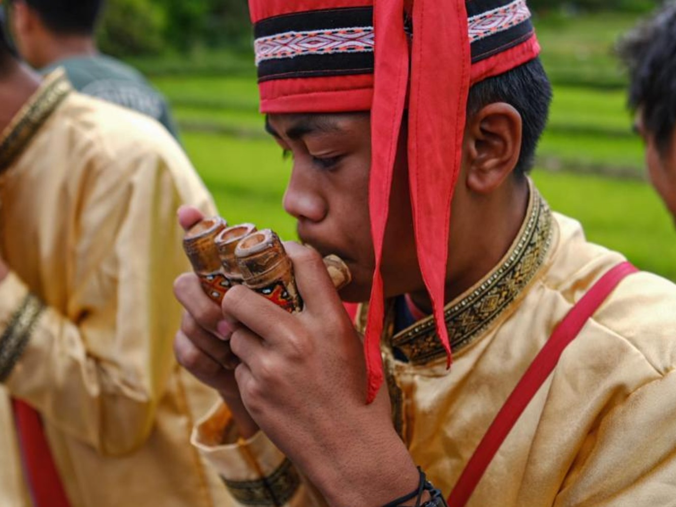 Menikmati cantiknya sawah hijau (Sumber gambar: Kemenparekraf)