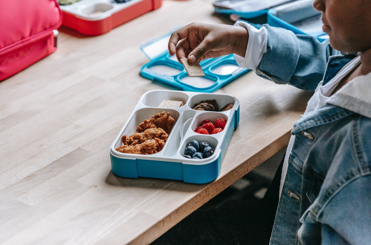 Ilustrasi bekal anak (Sumber gambar: Katerina Holmes/Pexels)