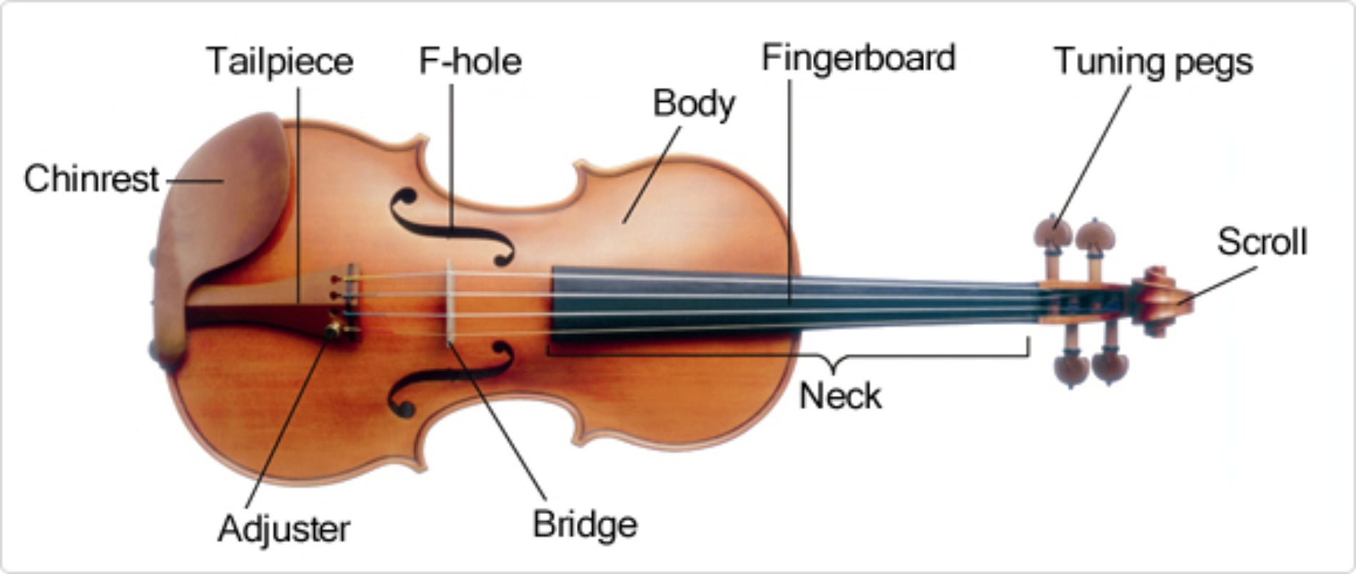 Bagian-bagian biola. (Sumber gambar: Yamaha)