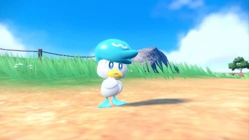 Pokemon Quaxly (Sumber gambar: Pokemon)