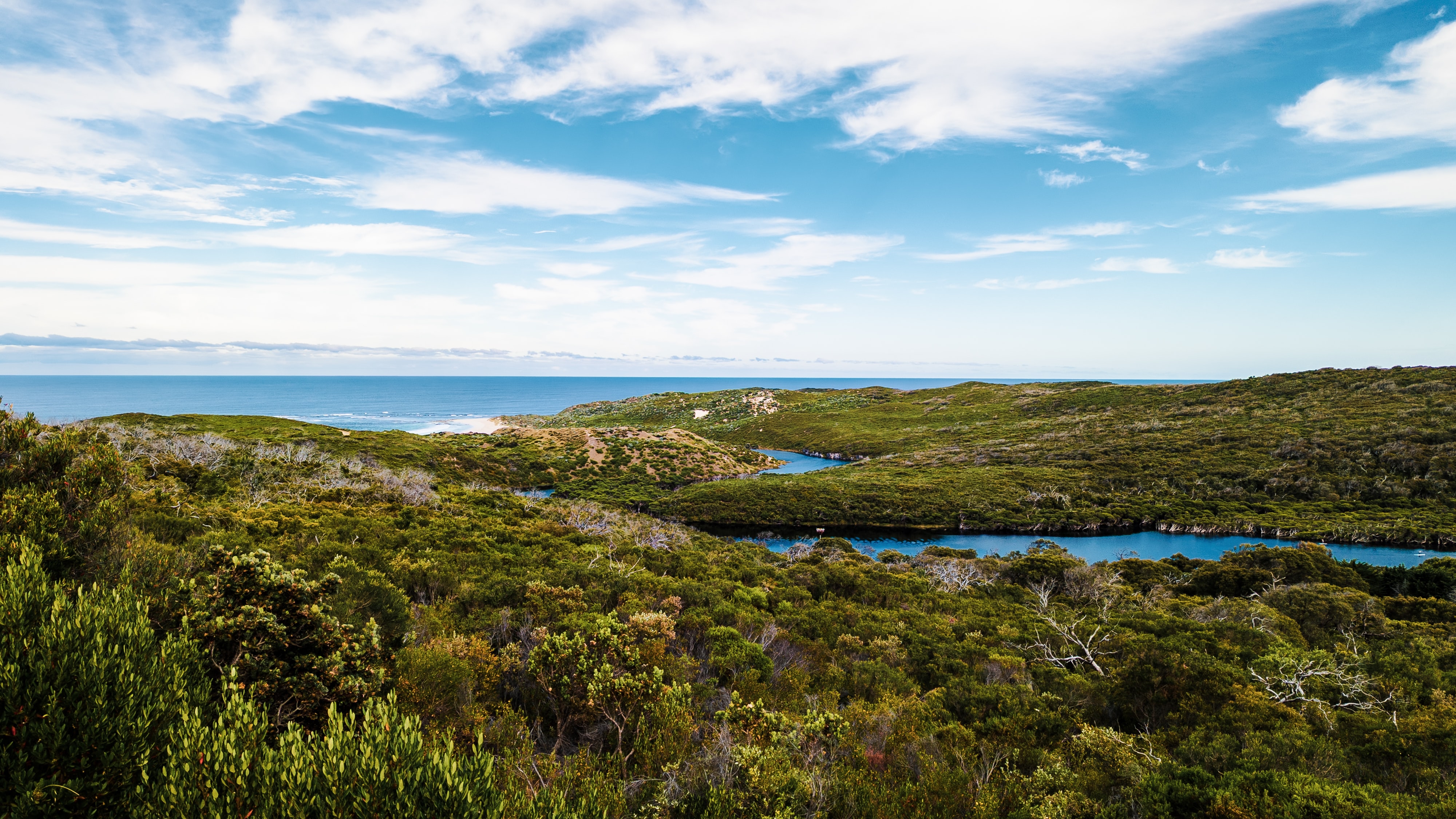 Ilustrasi Margaret River (sumber gambar Unsplash/ Joshua Leong)
