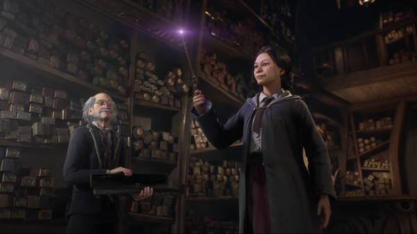 Hogwarts Legacy (Sumber gambar: Steam)