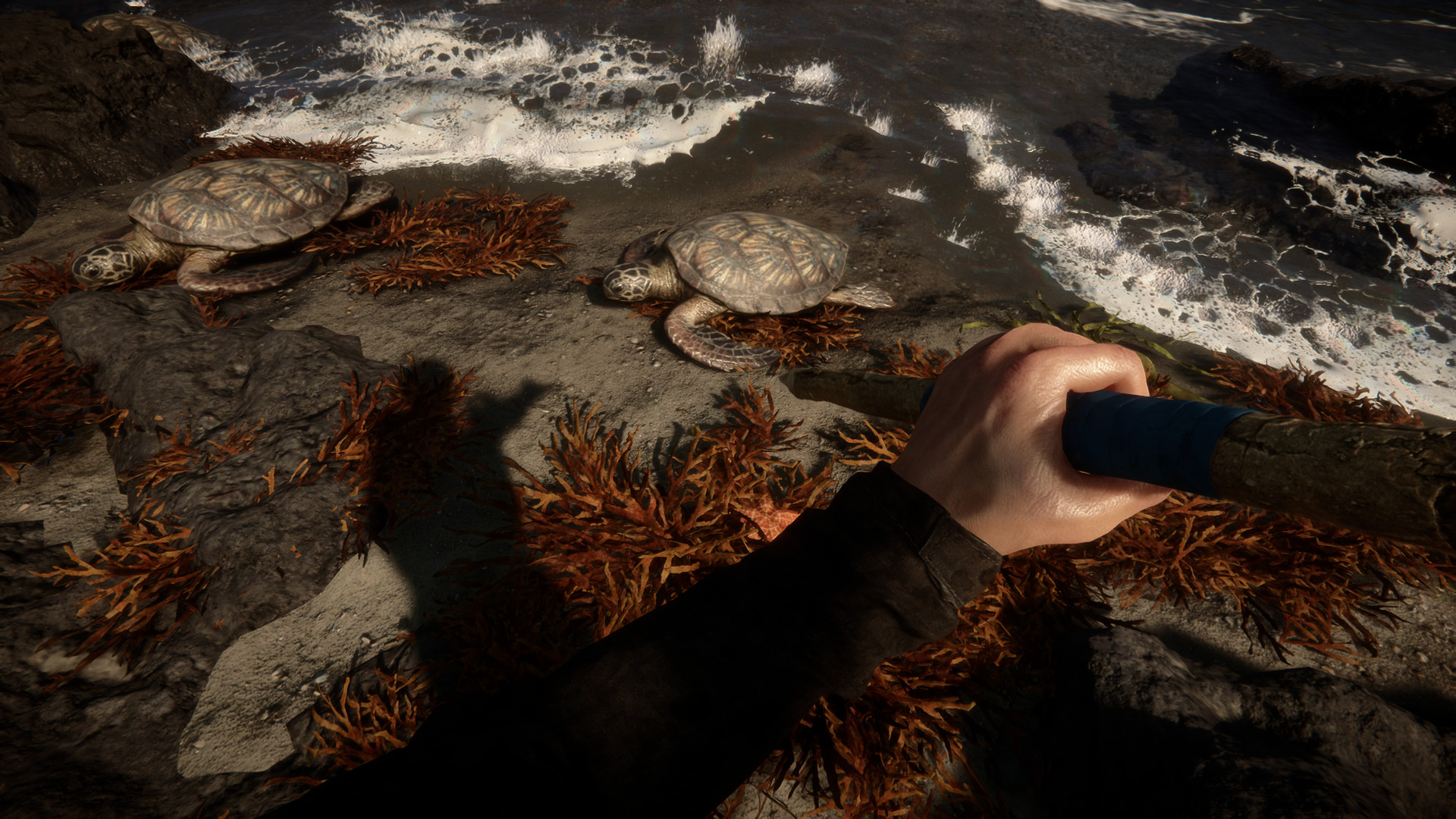 Sons of The Forest (Sumber gambar: Steam)