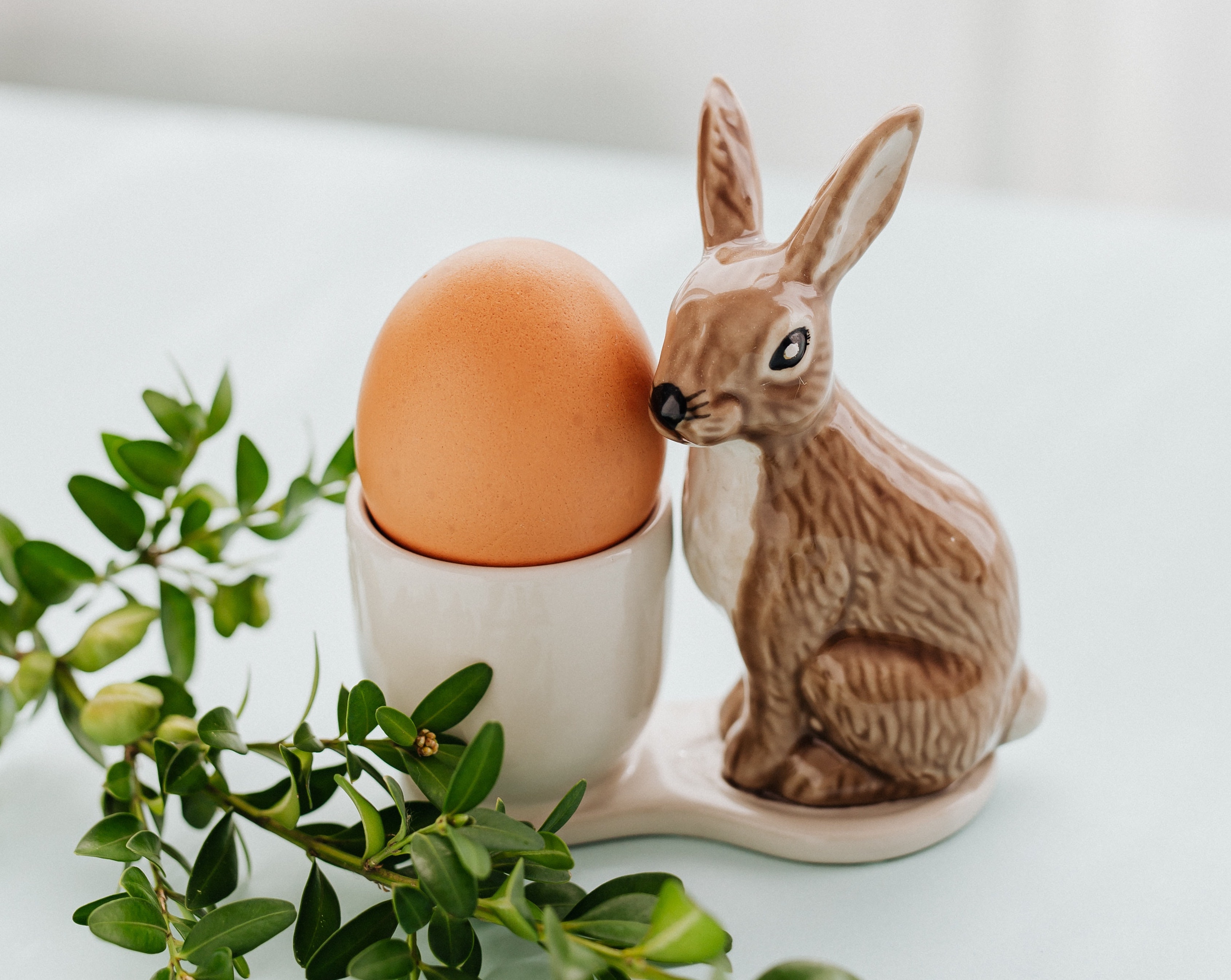 Kelinci paskah (Sumber gambar: Karolina Grabowska/Pexels)