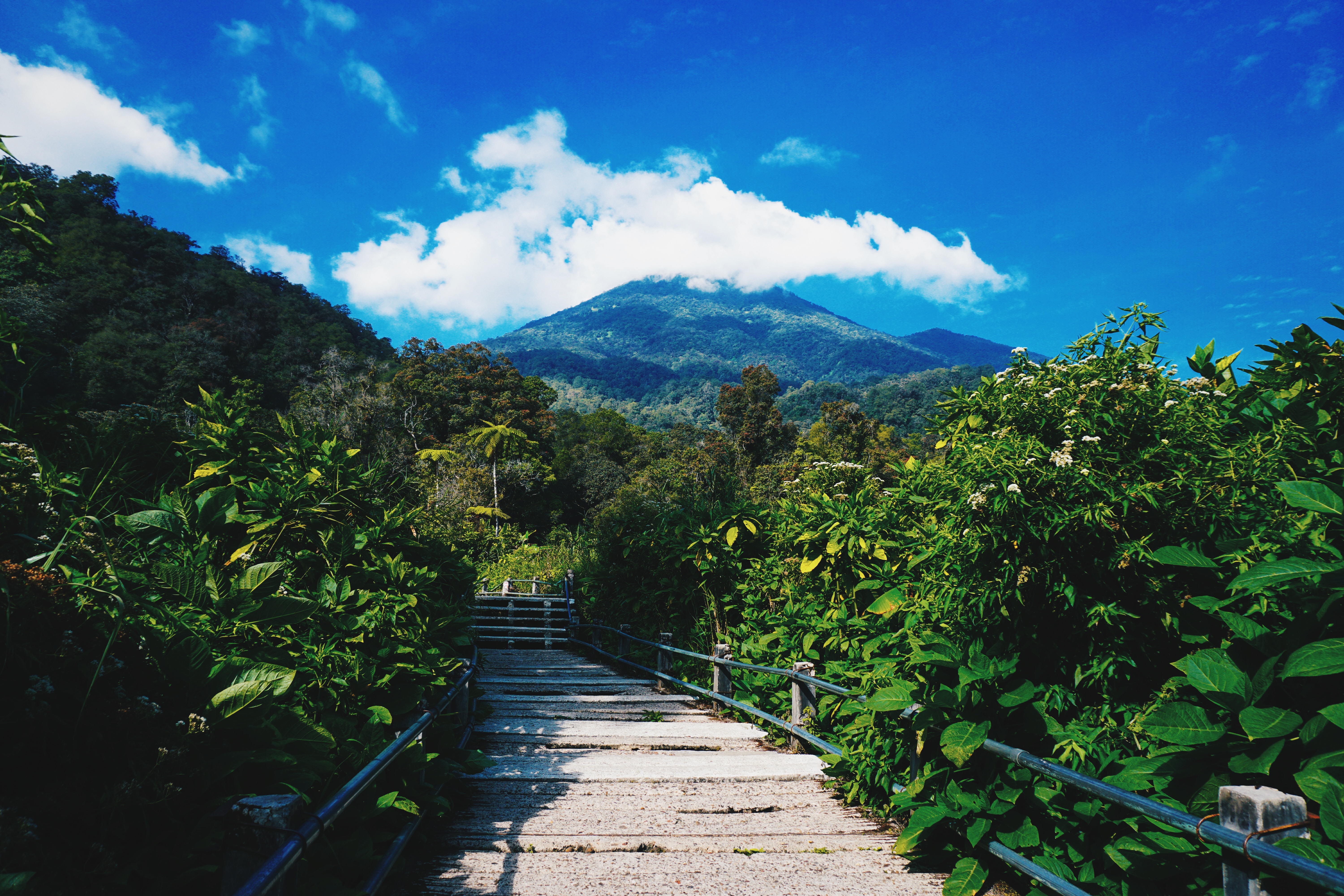 Wisata Cianjur (sumber gambar Unsplash/Ibadah mimpi)