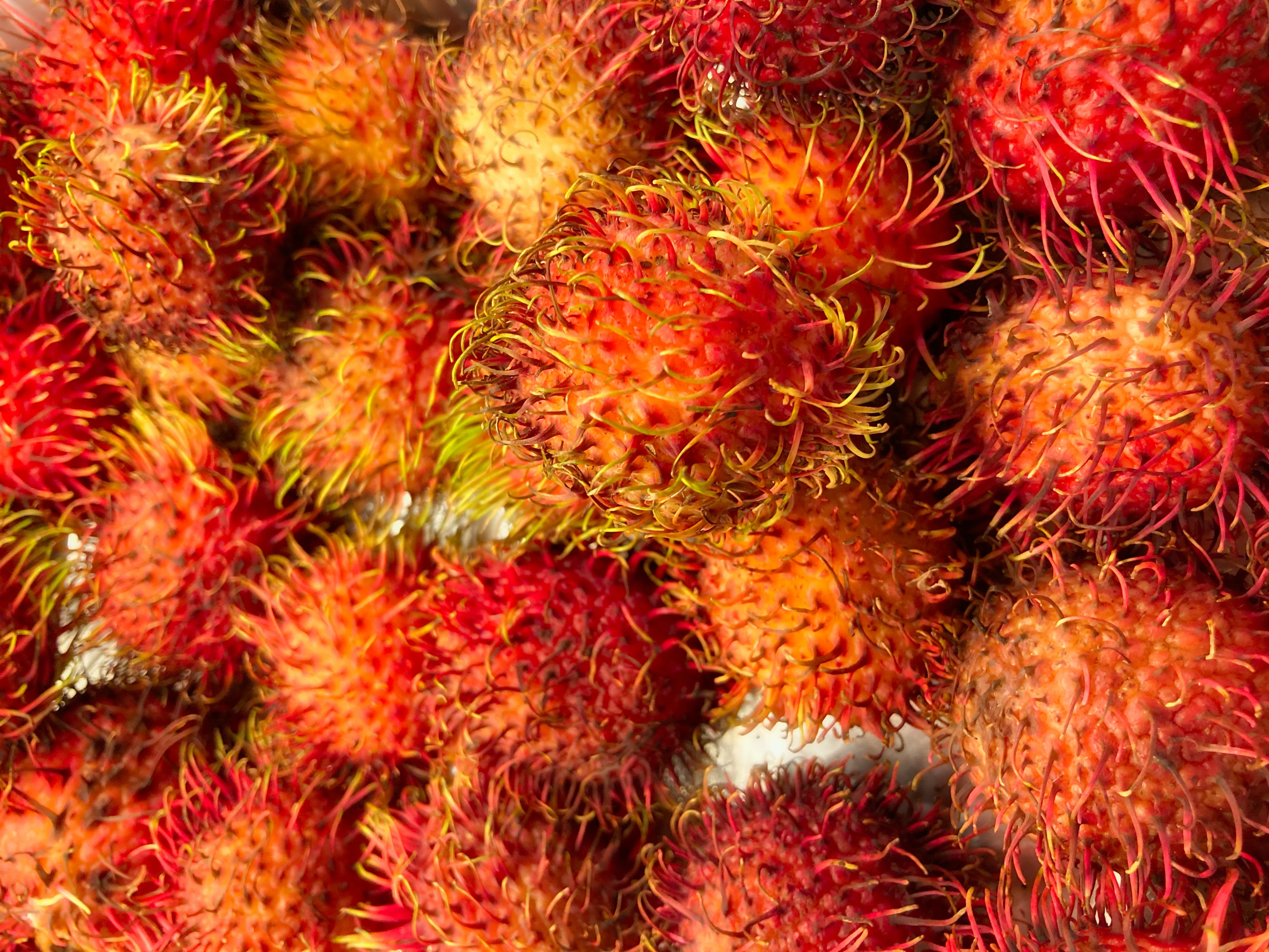 Buah rambutan (Sumber gambar: Unsplash/Acton Crwford)