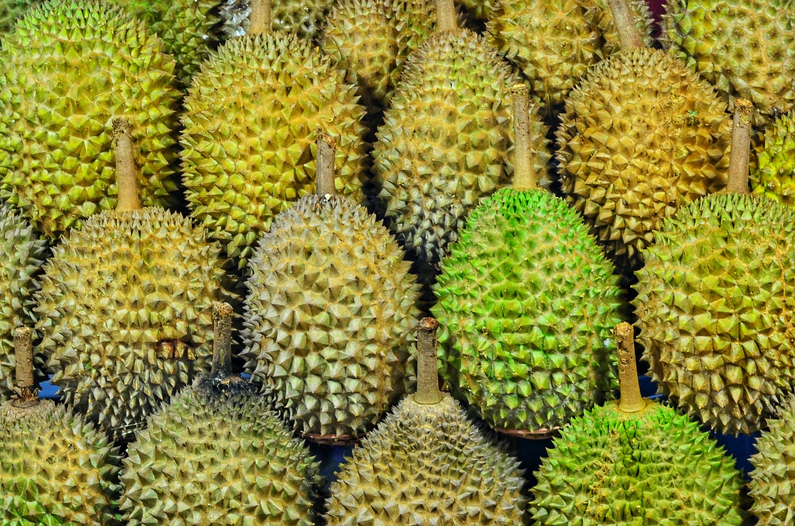 (Sumber: Unsplash/Jonny Clow) 