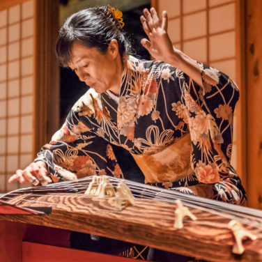 Musisi koto memainkan koto