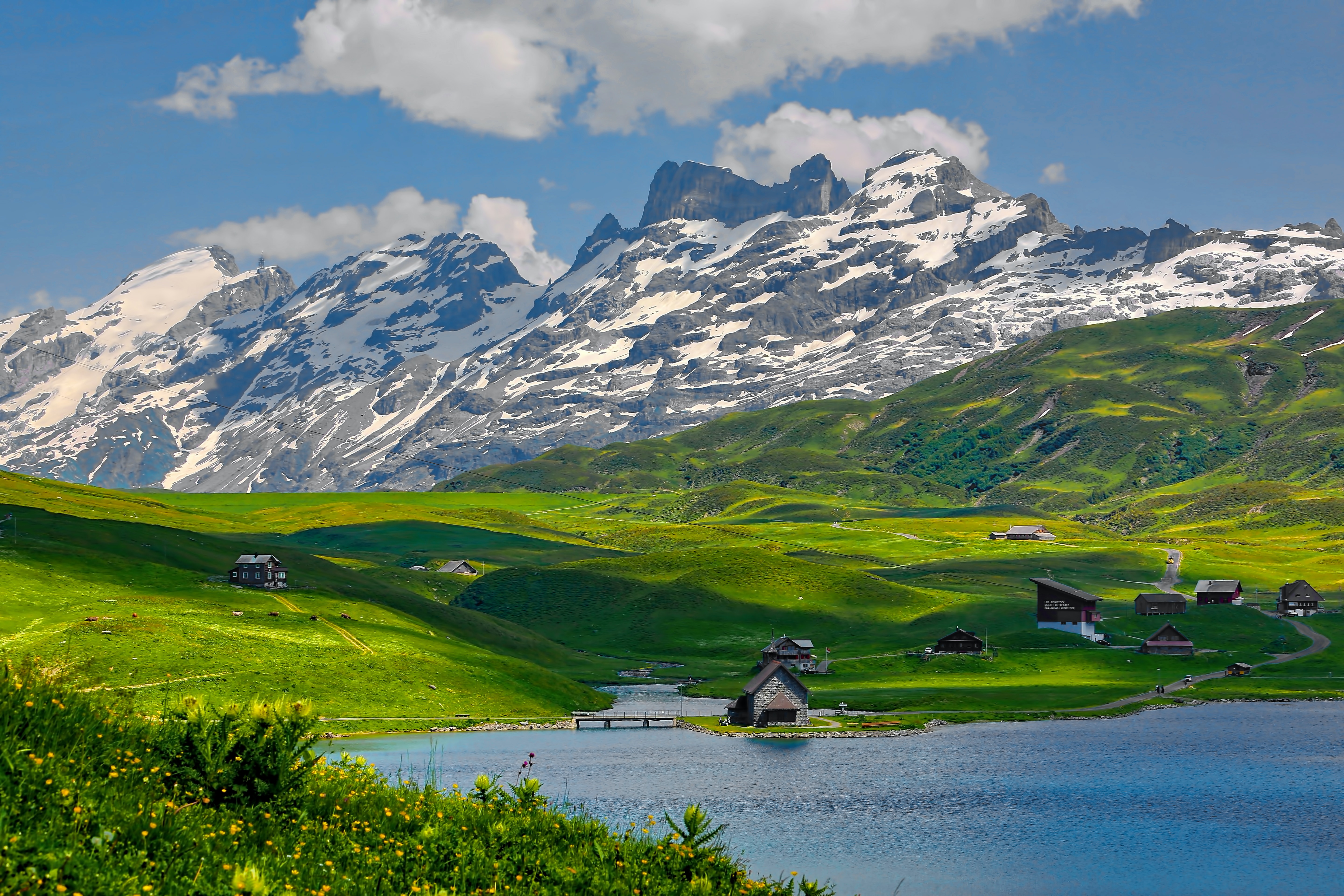 Swiss (sumber gambar Unsplash/ Ricardo Gomez)