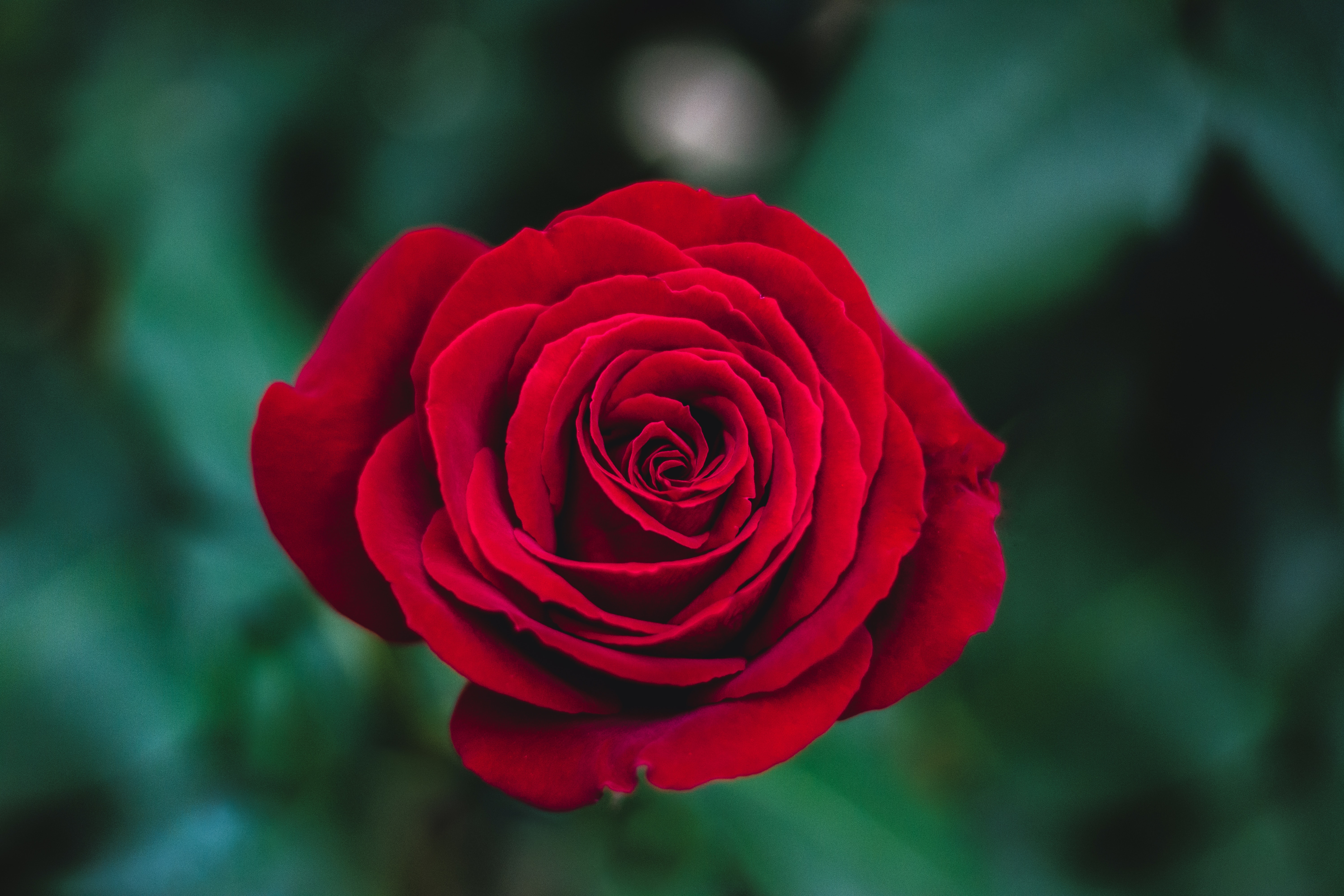 (Sumber gambar: Unsplash/Ivan Jevtic)