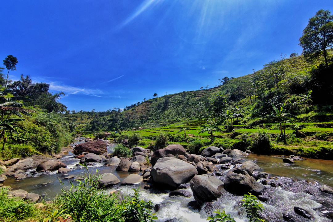 Hamparan sawah dan aliran sungai menyapa kala berjelajah ke pelosok Bogor, tepatnya di Babakan Madang.