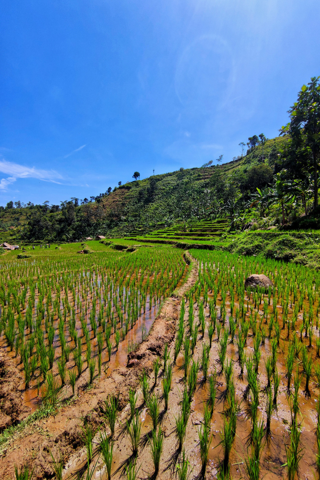 Pemandangan asri dengan trek naik turun perbukitan menjadi pengalaman yang mengasikan.