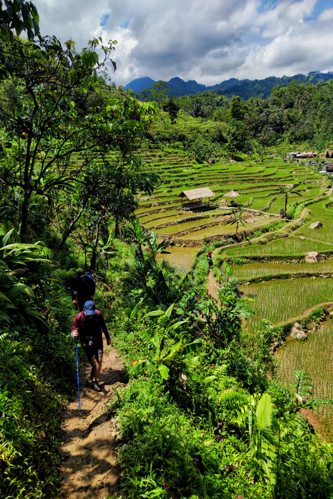 Hamparan sawah dan aliran sungai menyapa kala berjelajah ke pelosok Bogor, tepatnya di Babakan Madang. Siapa sangka tempat ini menyimpan pesona yang tak kalah memikat dari objek wisata lain. Pemandangan asri dengan trek naik turun perbukitan menjadi pengalaman yang mengasikan.