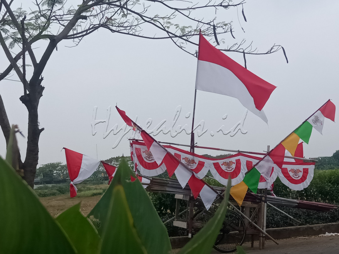 Mendekati tanggal 17 agustus hari kemerdekaan republik indonesia. biasanya penjual bendera merah putih banyak di cari oleh masyarakat indonesia<br />
<br />
Di berbagai tempat pemakaian bendera merah putih menjadi pelengkap yang wajib untuk menambah semarak hari kemerdekaan indonesia