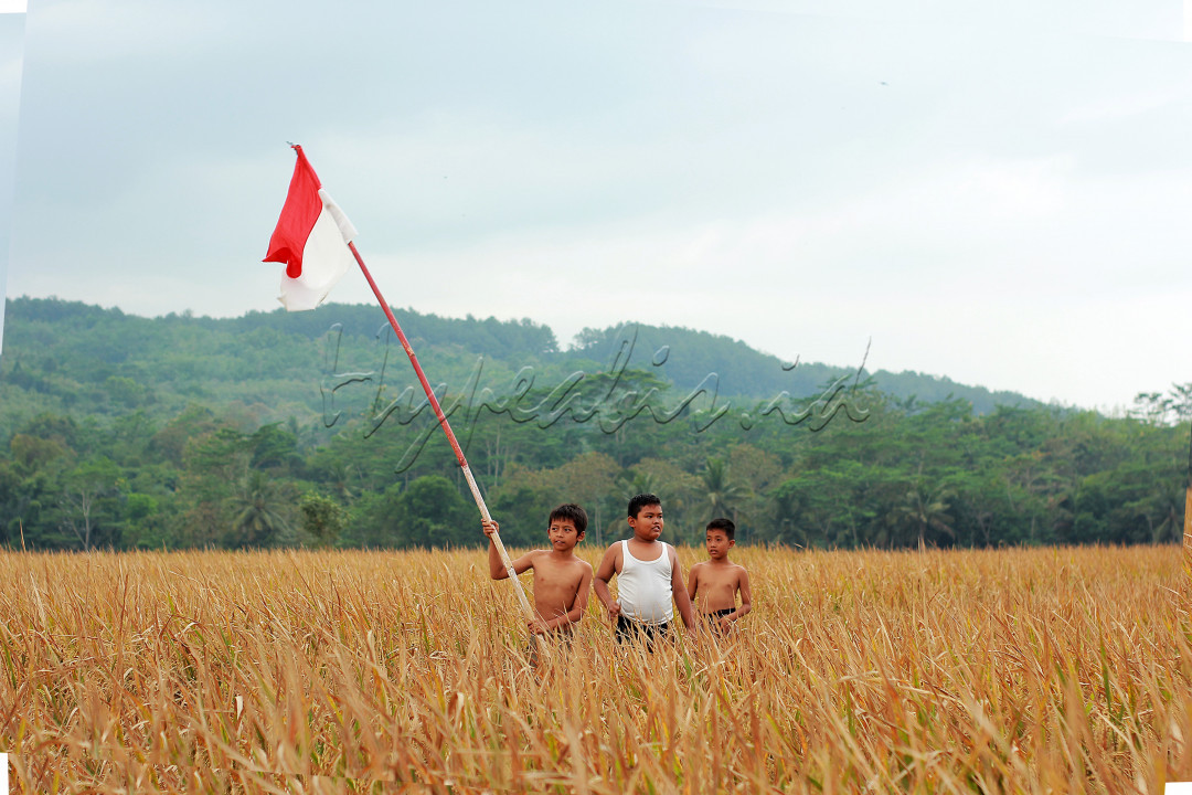 Merdeka anak petani adalah foto dengan anak anak yang membawa bendera merah putih mengekspresikan cara merayakan kemerdekaan Indonesia dengan mengibarkan bendera merah putih