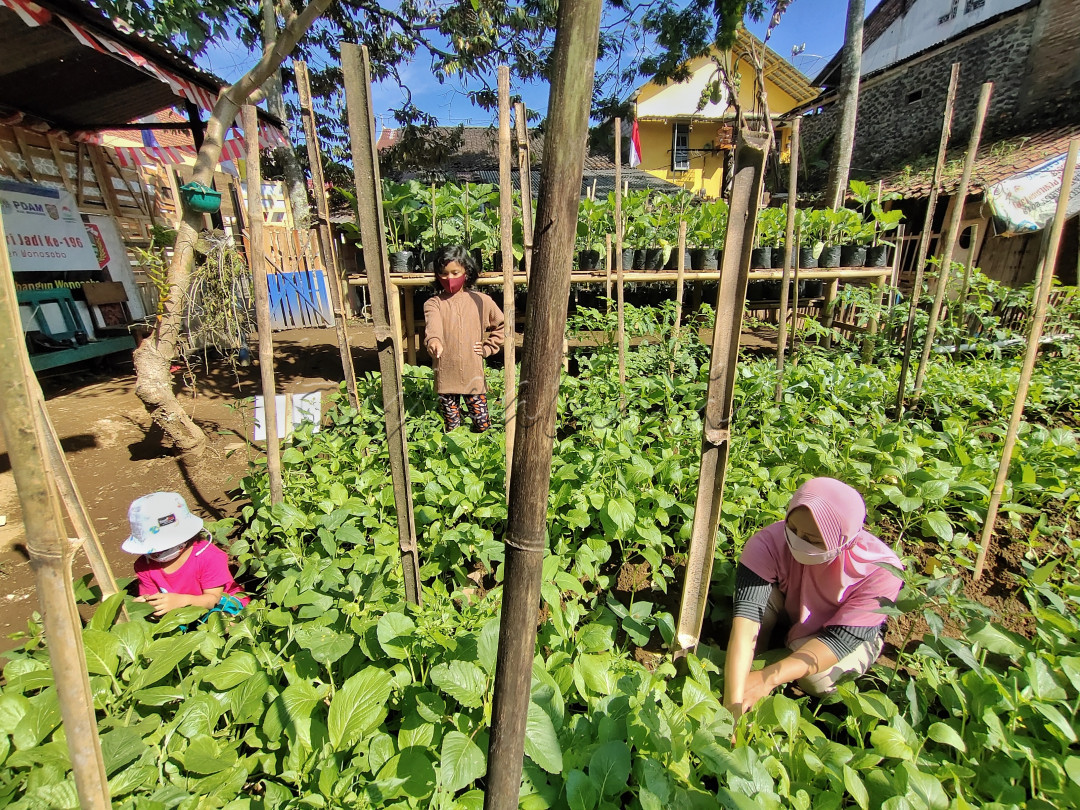 Memanfaatkan waktu luang di masa pandemi dengan berkebun. Karena selain bergerak di bawah sinar matahari, juga dapat menghasilkan sayur yang segar dan bergizi. Tentunya dapat menambah imun, dengan berhemat karena mengurangi anggaran belanja sayur.