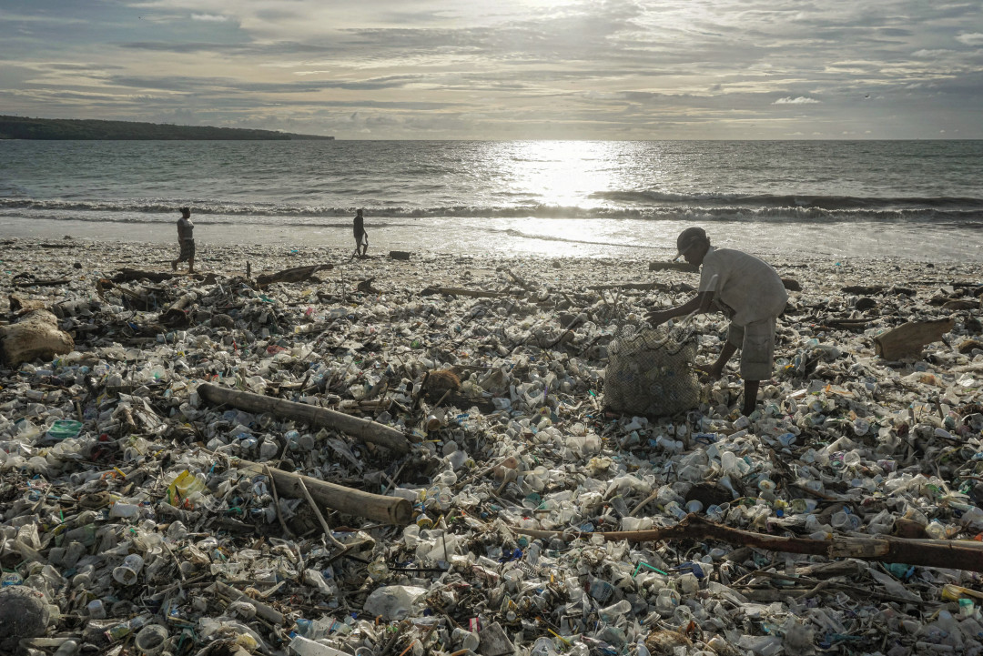 Para pemulung berkontribusi dalam membersihkan pantai Kedonganan, Badung, Bali dari tumpukan sampah plastik yang terjadi saat musim Angin Muson Barat setiap peralihan tahun. Sampah-sampah ini membuat Bali yang merupakan destinasi pariwisata tidak merdeka karena keindahan pantainya tertutup lautan sampah plastik. <br />
<br />
Dengan adanya para pemulung ini meringankan tugas petugas kebersihan dan masyarakat yang membersihkan setiap kalinya.