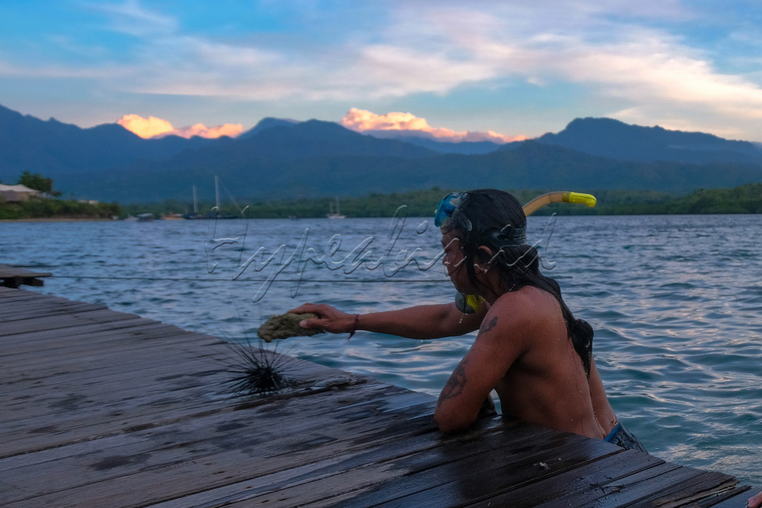 Pulau menjangan merupakan pulau yang terletak di sebelah timur Banyuwangi tepatnya di kawasab Taman Nasional Bali Barat.Pulau menjangan terkenal sebagai keindahan alam bawah lautnya.Wisatawan yang datang kesini tidak sedikit yang melakukan snorkling maupun diving.