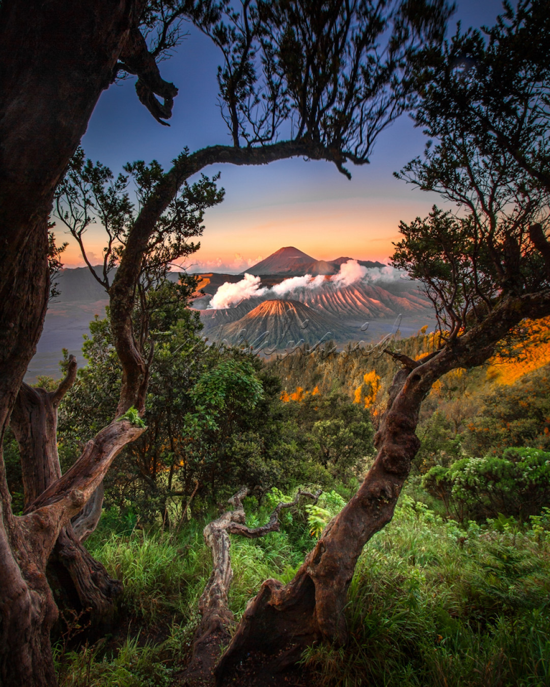 Sunrise Bromo, Penanjakan view point lebih identik dengan sebutan Penanjakan 1, merupakan spot Sunrise Bromo terkenal dan populer kalangan wisatawan dan pemburu Sunrise Gunung Bromo, karena ketinggiannya di atas Gunung Bromo yang hanya memiliki ketinggian 2.329 mdpl.<br />
<br />
Selain itu wisatawan dapat menikmati pemandangan kaldera dan lautan pasir yang sangat menawan yang sering disebut dengan Sea of Sand yang berada di antara 3 gunung. Sunrise Bromo akan lebih eksotis dan menarik saat langit sedang cerah dan terdapat awan kapas di sekitar gunung Bromo.<br />
<br />
Lokasi : Penanjakan 1, Bromo, Probolinggo, Jawa Timur 