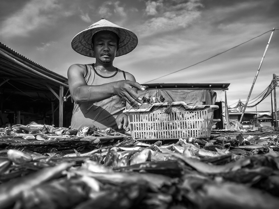 Muara Angke terkenal sebagai tempat penjualan ikan laut segar dan ikan bakar di Jakarta. Memang di sini terdapat fasilitas tempat pendaratan dan pelelangan ikan, dan juga pasar ikan.<br />
Restoran ikan bakar mulai tersedia sekitar tahun 1994, ketika RM (rumah makan) Ikan Bakar dan RM Sinar Muara hadir di sini. Sejak saat itu, tempat ini mulai dikenal para penikmat makanan untuk mendapatkan ikan bakar yang segar, enak dan relatif murah. Kini restoran ikan bakar telah banyak jumlahnya, tetapi uniknya restoran-restoran ini hanya menyediakan jasa memasak ikan. Pengunjung harus membeli ikan sendiri di pasar ikan yang berdekatan, dan kemudian menyerahkannya ke restoran untuk diolah: dibakar, digoreng dan lain-lain sesuai keinginan. 