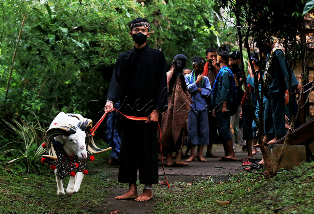 Peserta Adu Domba besiap di pinggir arena di Desa Wisata Saung Ciburial, Kabupaten Garut, Jawa Barat, Senin (18/10/2021). Adu Domba merupakan merupakan atraksi tradisional khas masyarakat Sunda. Domba Garut memiliki ketangkasan dan merupakan salah satu domba lokal terbaik di Indonesia. Atraksi Adu Domba menjadi salah satu daya tarik wisata Desa Saung Ciburial. 