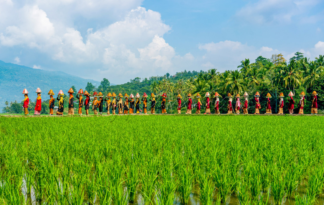 Festival rakyat anak Nagari Batu Taba yang mengkolaborasikan, mempertemukan dan menyatukan berbagai aktifitas kreasi seni budaya Minangkabau dengan hasil olahan pertanian, perkebunan, dan perikanan dalam satu peristiwa bersama di Nagari Batu Taba, Tanah Datar, Sumatera Barat.