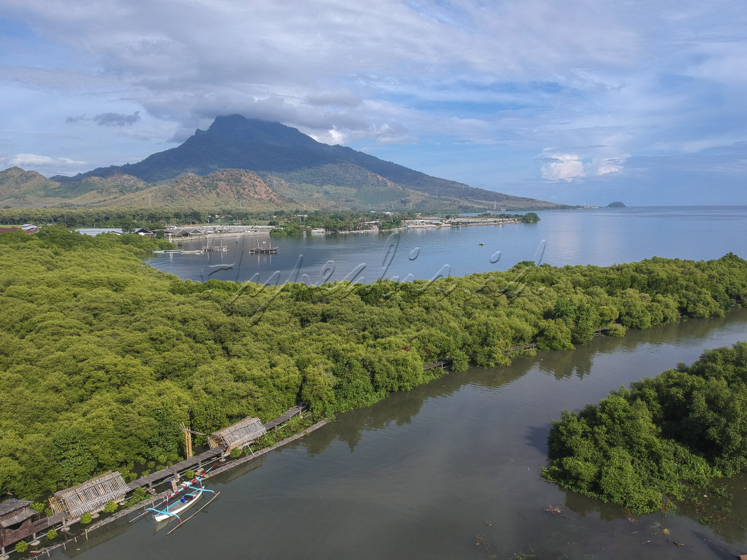 Wisata Kampung Blekok merupakan salah satu destinasi wisata di Kabupaten Situbondo. Tempat wisata ini merupakan kawasan konservasi Mangrove dan Burung Blekok. Keasrian hutan mangrovenya sangat terasa saat kita menyusuri jembatan jeti yang terbuat dari kayu. Dan yang menarik adalah saat kita berada di atas menara pandangnya karena dari sini kita bisa menikmati keindahan pemandangan alamnya dengan latar belakang pegunungan, laut dan hutan mangrove.