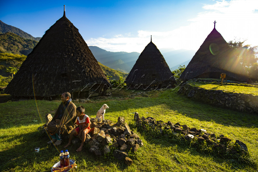 Aktifitas Masyarkat Desa Adat Wae Rebo Flores, Nusa Tenggara Timur, Sabtu (12/06/2021). Wae Rebo satu dekade terakhir menjadi destinasi tujuan wisata yang memiliki tujuh rumah berbentuk kerucut. Wae Rebo terletak diketinggian 1.300 meter diatas permukaan laut untuk menuju kesana wisatwan harus berjalan kaki mendaki gunung selama sekitar 2,5 jam dari Pos satu. Wisatawan akan melewati tiga pos pendakian, namun perjalanan itu akan terbayar dengan ramahnya penduduk, pemandangan yang indah, dan juga kopi panas lokal yang merupakan salah satu produk perkebunan masyarakat desa Waerebo.