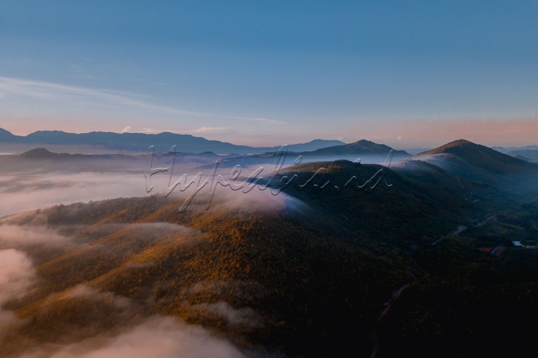 punggung borneo