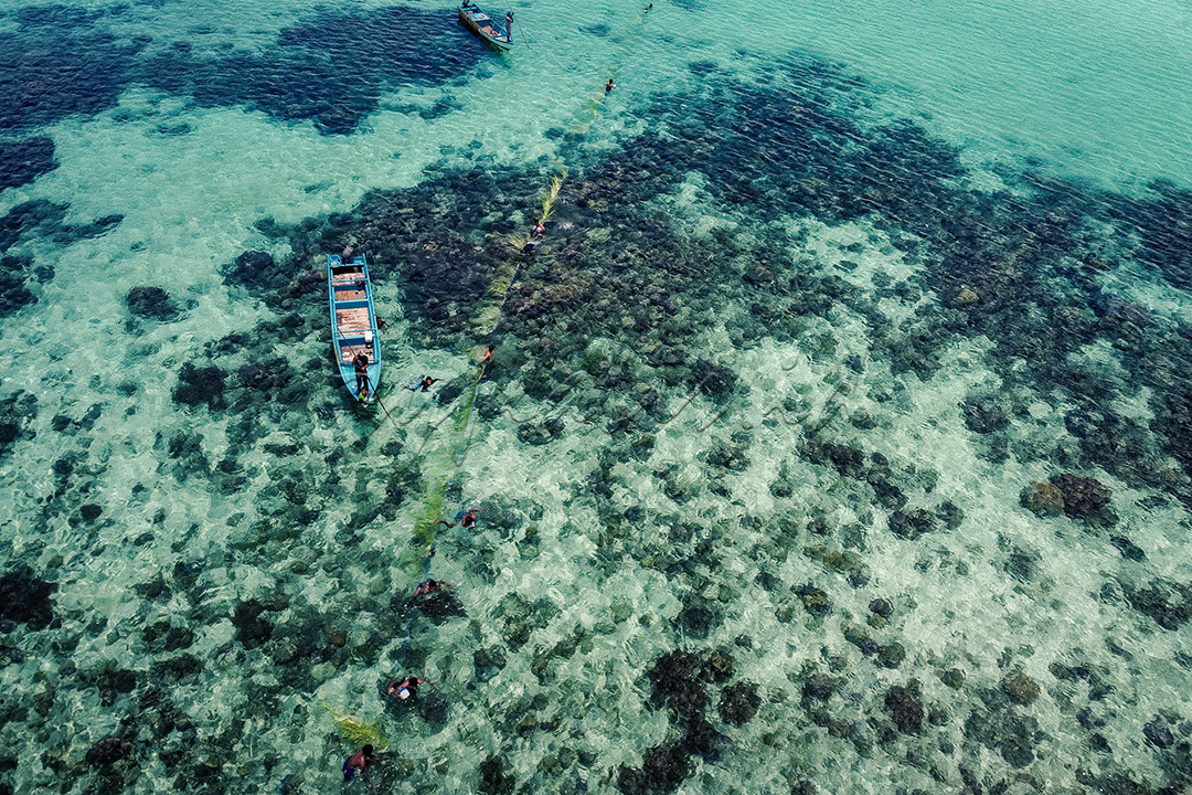 Sejumlah warga menarik tali yang dilapisi daun janur kelapa untuk menangkap ikan atau tradisi Werwarat di Kabupaten Maluku Tenggara, Provinsi Maluku, pada 27 Oktober 2021.