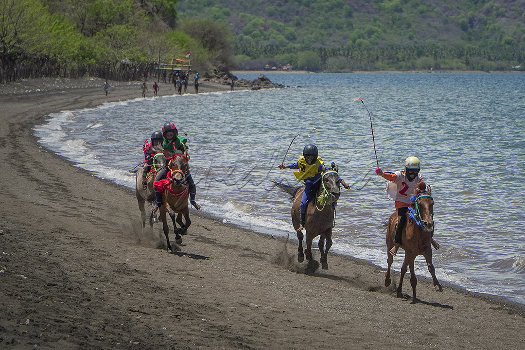 Pertandingan balap kuda di sebuah desa di pinggir pantai di kota Bima, Nusa Tenggara Barat. Para joki kuda adalah anak-anak kecil