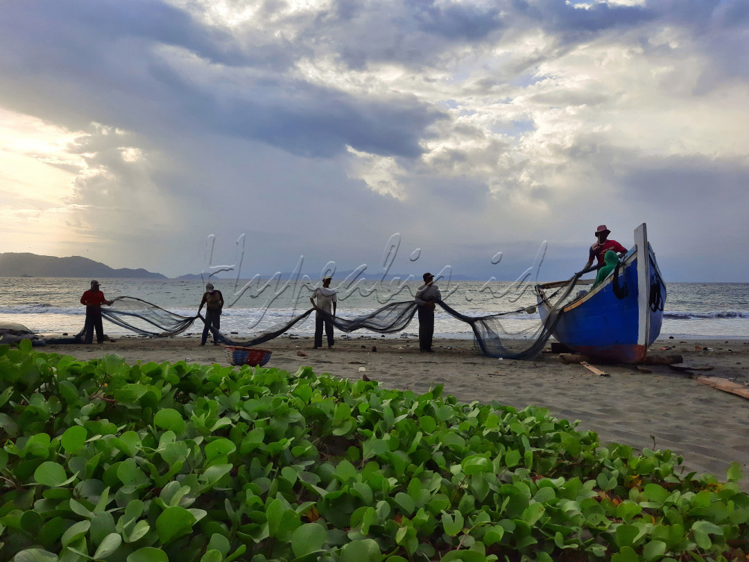 Nelayan Gampong Jawa di Kota Banda Aceh sedang bekerjasama merapikan jala setelah menangkap ikan secara tradisional dengan memasang jala di pantai dan menariknya bersama-sama (tarek pukat). Tarek pukat adalah salah satu tradisi nelayan dalam menangkap ikan dengan memperhatikan kelestarian ekosistem laut. Foto diambil pada 14 Oktober 2021