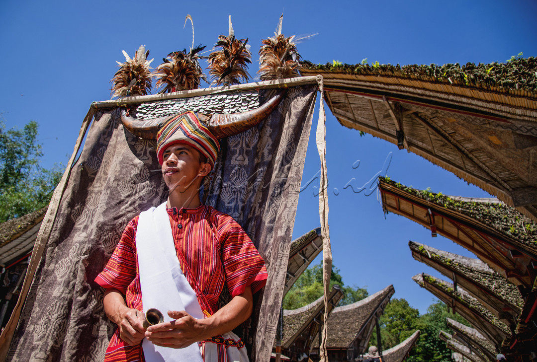 Potret salah seorang Penari Manganda yang berasal dari Toraja Utara dengan pakaian khasnya yang antara lain hiasan kepala dari tanduk kerbau asli yang dikaitkan sehelai kain tenun tua Toraja, lalu dihiasi uang logam tua serta beberapa bulu hewan unggas yang tersisip rapi diatas topi tanduk ini, penari manganda juga memegang semacam bel yang dibunyikan saat membawakan tarian