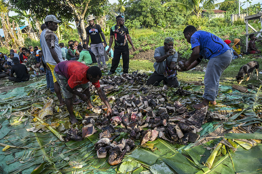 Warga menggelar pesta bakar batu di Kabupaten Merauke, Papua, Rabu (13/10/2021). Pesta bakar batu tersebut sebagai bentuk ucapan syukur atas keberhasilan tim sepak bola putri Papua meraih medali emas dalam ajang sepak bola putri PON Papua. 