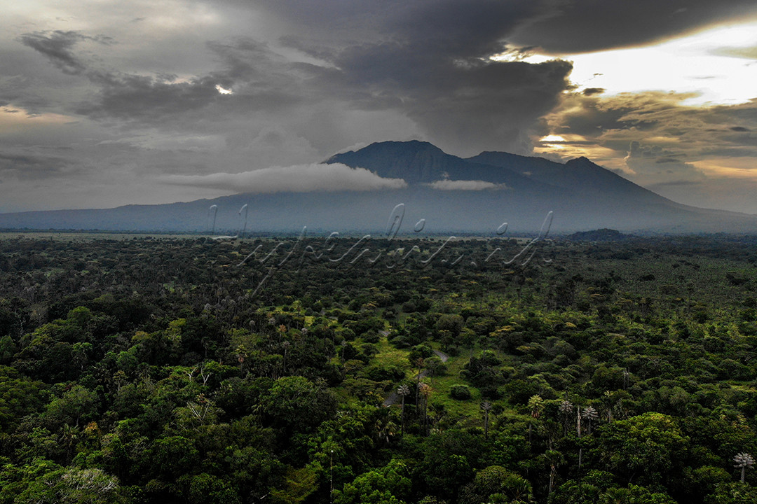 Taman Nasional Baluran adalah salah satu taman nasional di Indonesia yang terletak di wilayah Banyuputih, Situbondo, Jawa Timur, Indonesia. Namanya diambil dari nama gunung yang berada di daerah ini, yaitu Gunung Baluran dan sering dijuluki Afrika Kecil