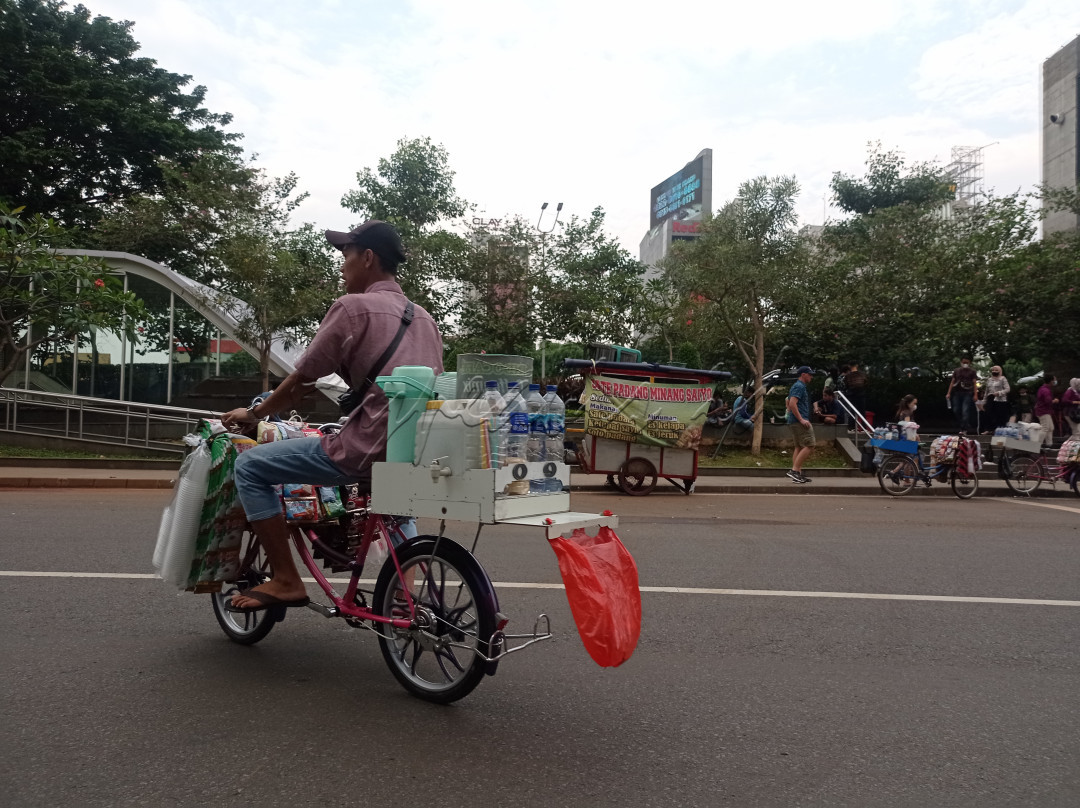 Pedagang starling mencoba untuk mencari pembeli di Jalan sudirman