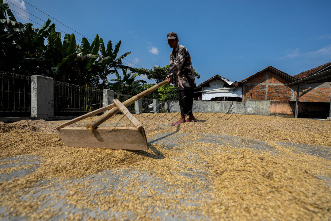 Sektor pertanian mempunyai peran penting untuk meningkatkan kesejahteraan dan ketahanan pangan, oleh karena itu peran petani menjadi sangat penting bagi negara agraris sebagai ujung tombak dalam mewujudkan ketahanan pangan. 