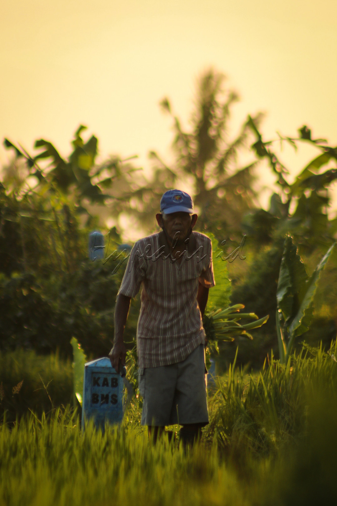 <em>Senja mengingatkan kita pada rumah, pada mereka yang membuat hati kita kembali pulang.</em>