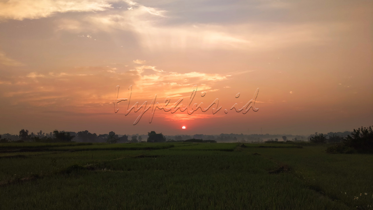 <strong>Keindahan senja di persawahan, </strong>sangat lah indah tiada tanding. Disuatu desa dimana mulai dibangun perumahan² dan persawahan yang dari tahun ke tahun mulai hilang. Iyah salah satu keunggulan Indonesia adalah padi makanan pokok utama di negeri tercinta. Tapi sayangnya sudah banyak persawahan tersingkir ditempatku. Tepatnya di Ds. Pasanggrahan, Kec. Solear, Kab. Tangerang - Banten tempat aku mengambil foto tersebut.