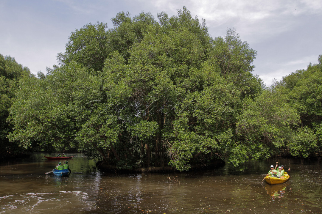 Pengunjung menikmati wahana air di Taman Wisata Alam Mangrove Angke Kapuk, Jakarta.