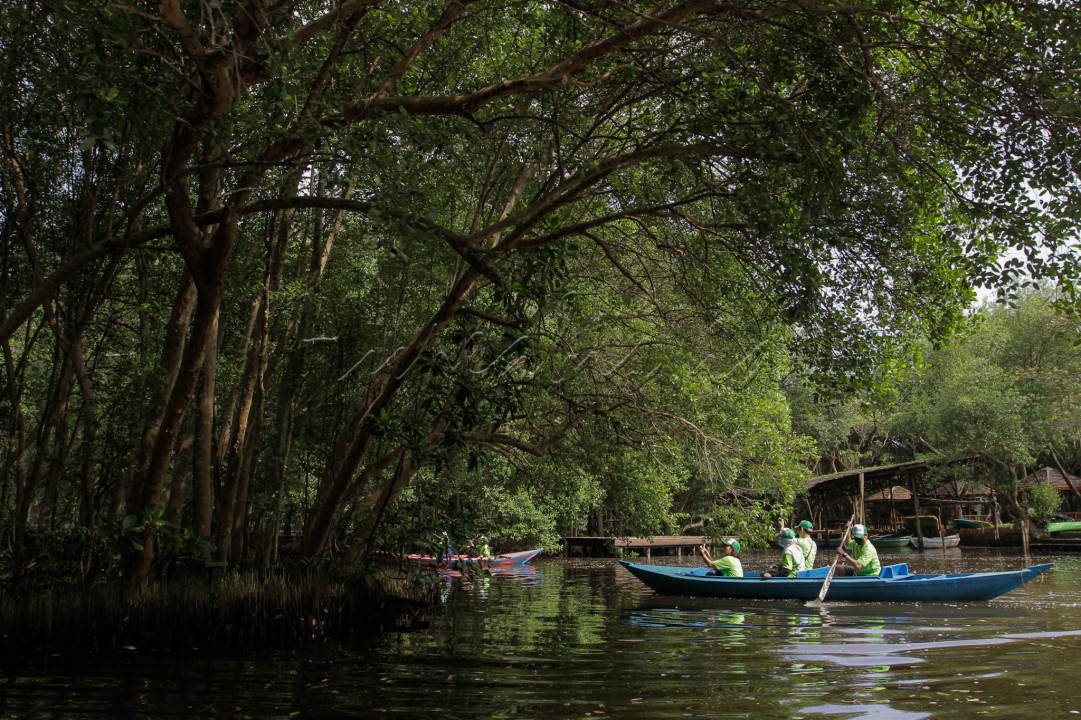 Taman Wisata Alam Mangrove Angke Kapuk dapat menjadi pilihan destinasi wisata untuk sesat melepas penat dari hiruk pikuk suasana kota.