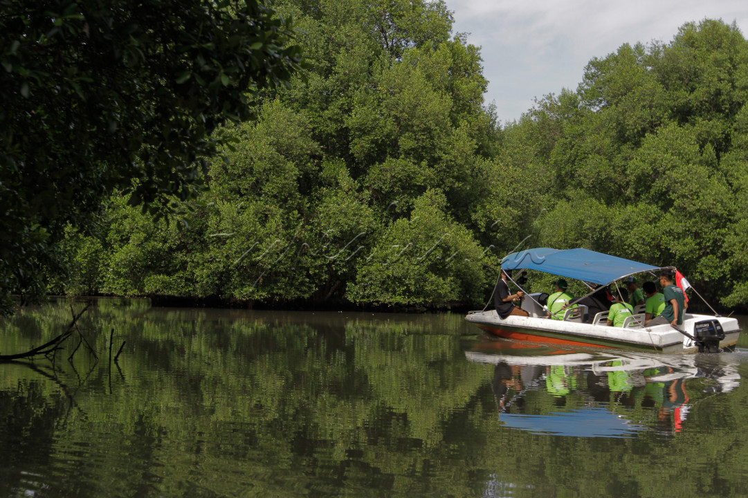 Wisatawan dapat menikmati indahnya panorama hutan mangrove yang menjernihkan pikiran dan juga terdapat wisata air yang menarik.